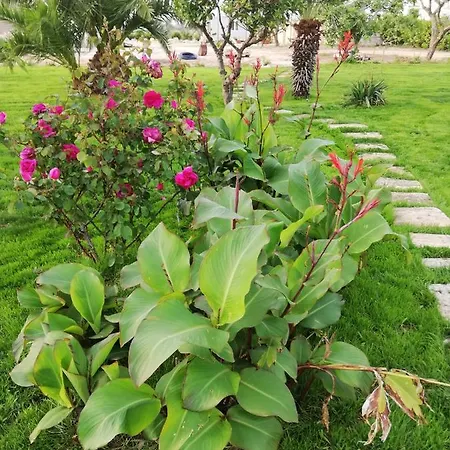 Il Giardino Dei Tramonti Bed & Breakfast *