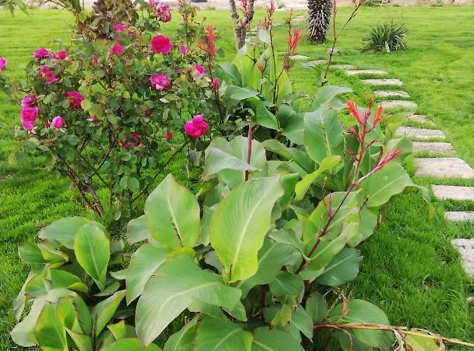 Il Giardino Dei Tramonti ベッド・アンド・ブレックファスト 4*