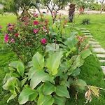 Il Giardino Dei Tramonti Panzió 4*