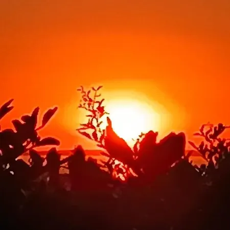 Il Giardino Dei Tramonti * Nardò