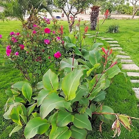 Il Giardino Dei Tramonti Nardò
