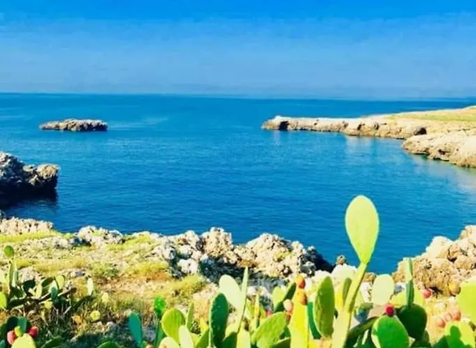 Nocleg ze śniadaniem Il Giardino Dei Tramonti 4*