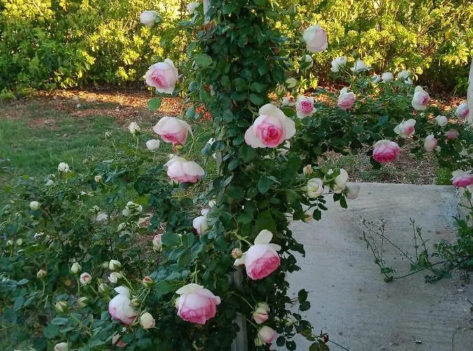 Il Giardino Dei Tramonti Nocleg ze śniadaniem Nardò